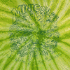 Photo of minicon 55 t-shirt front