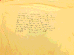 Thumbnail of photo of back of the other Minicon 20 t-shirt: definition of normal